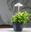 Plant Grow Lamp