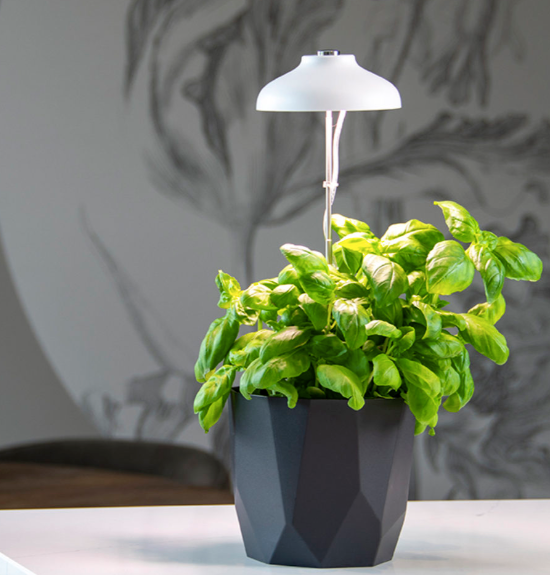 Plant Grow Lamp