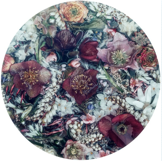 Hellebores & Temple Bells Decal