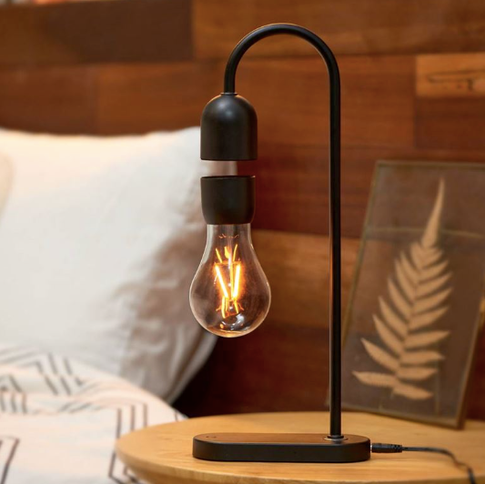 Evaro Teardrop Light Bulb Lamp
