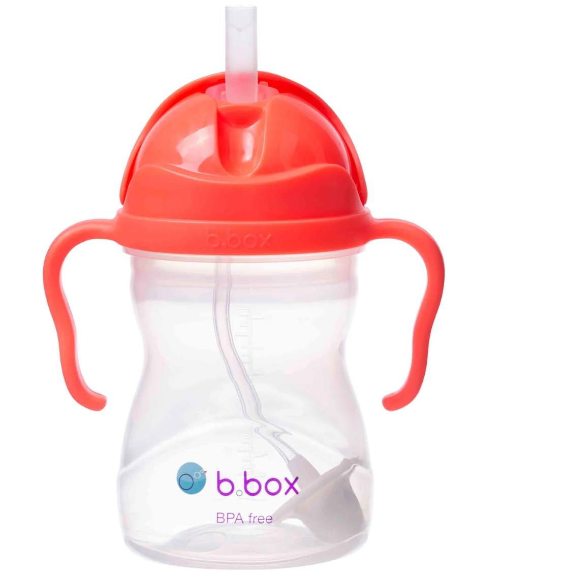 Sippy Cup
