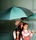 Adult Rain Umbrella