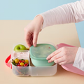 Lunch Tub