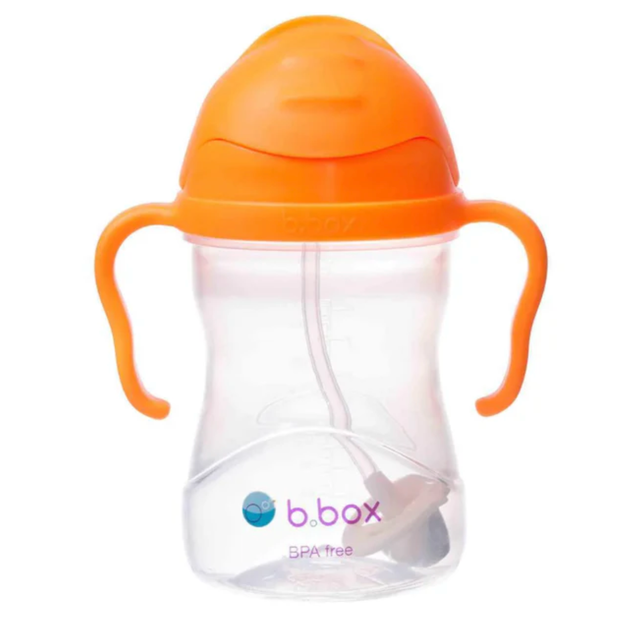 Sippy Cup
