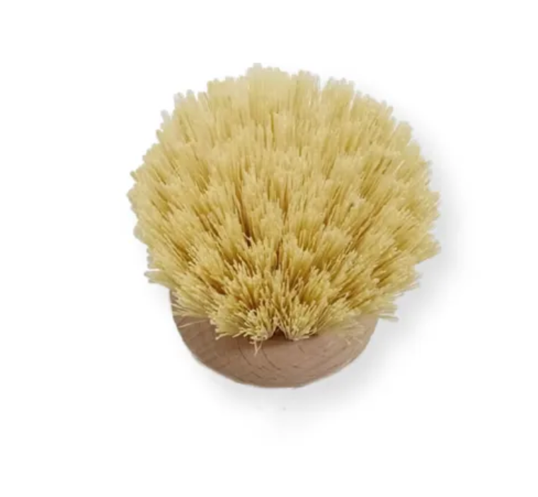Simple Dish Brush