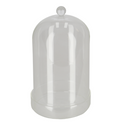 Glass Bell Jar