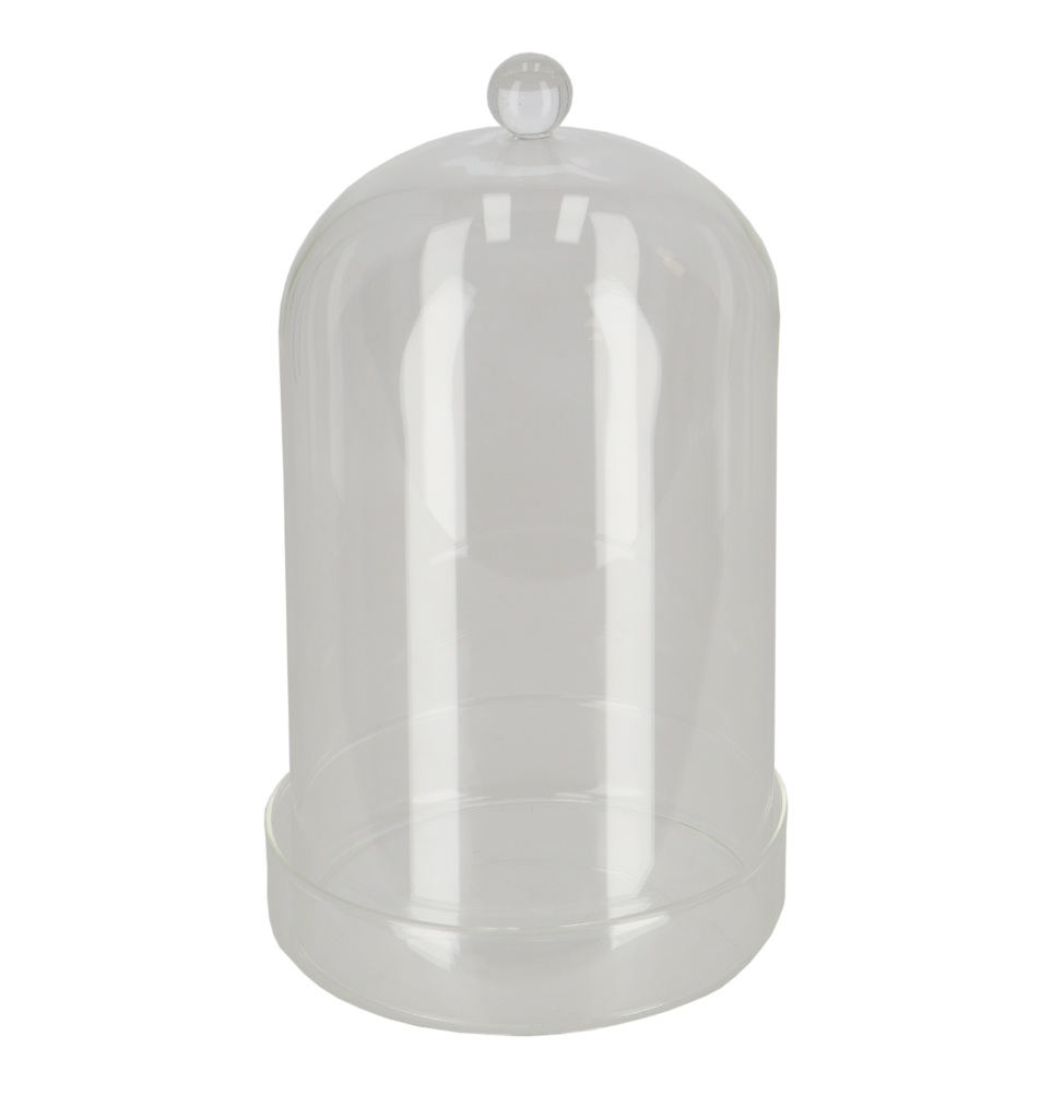 Glass Bell Jar