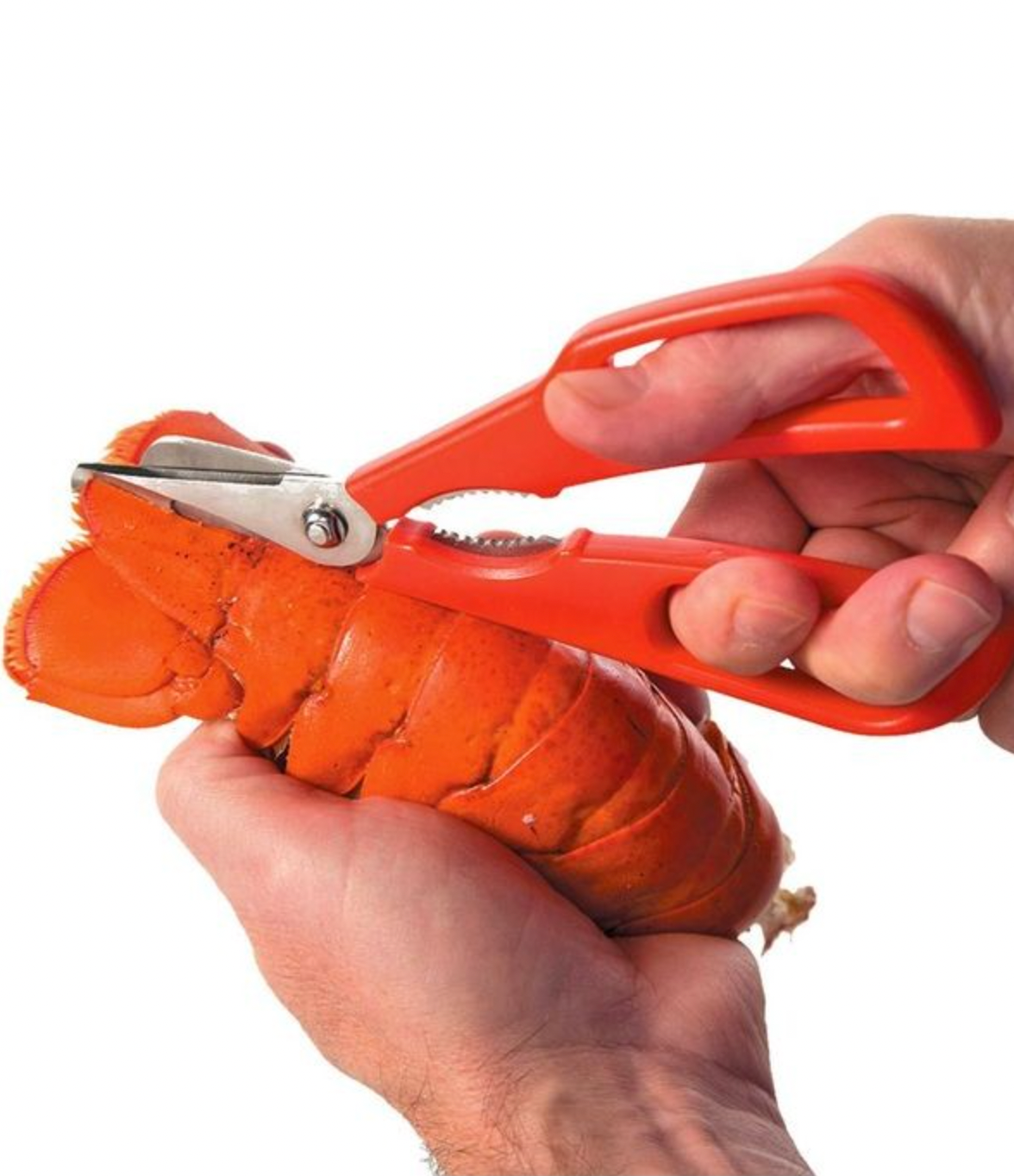 Seafood Scissors