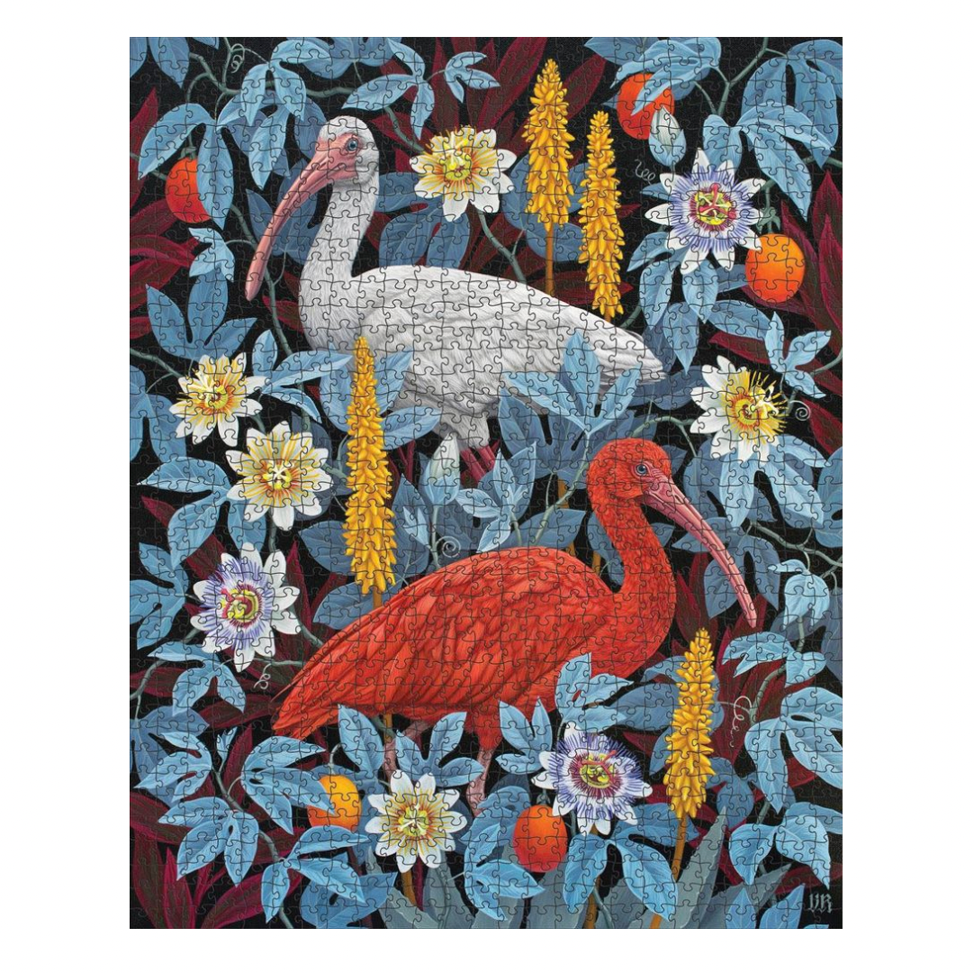 Vasilisa Romanenko Ibises Puzzle