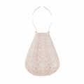 Lantern Tulip 20cm Soft Blush Lace