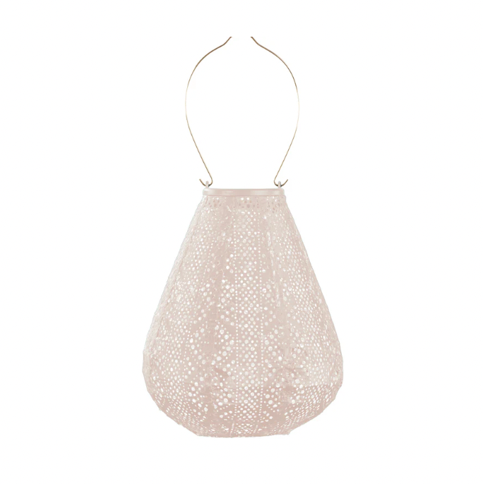 Lantern Tulip 20cm Soft Blush Lace