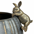 Hanging Bunny