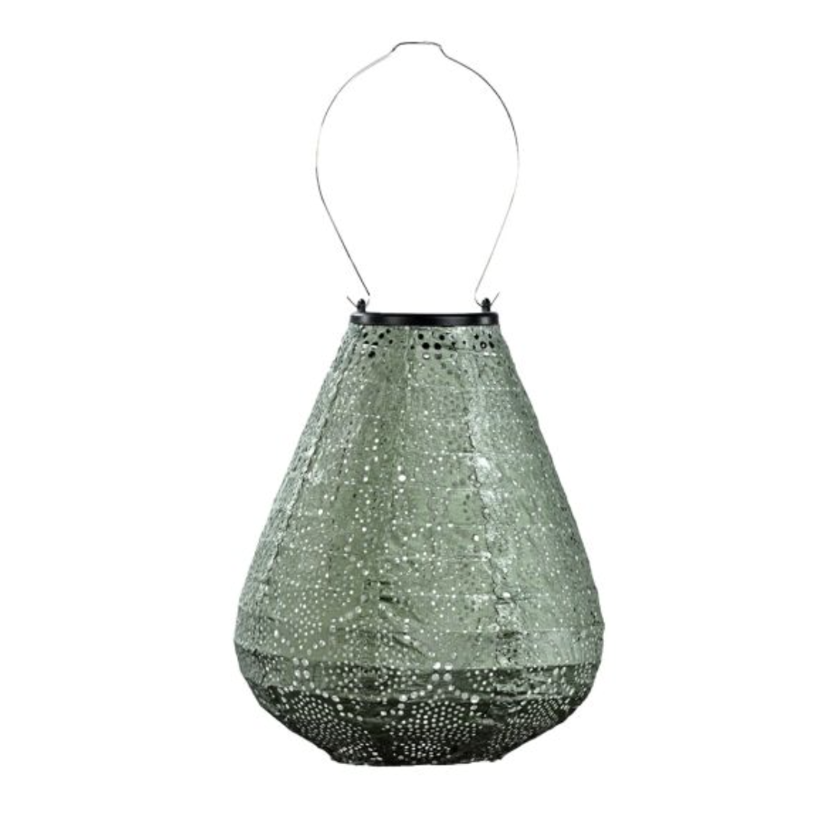 Lantern Tulip 20cm Green Sage Bazaar