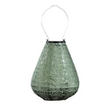 Lantern Tulip 20cm Green Sage Bazaar