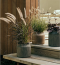 Flowerpot Uma Small