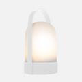 Pure Uri Lamp