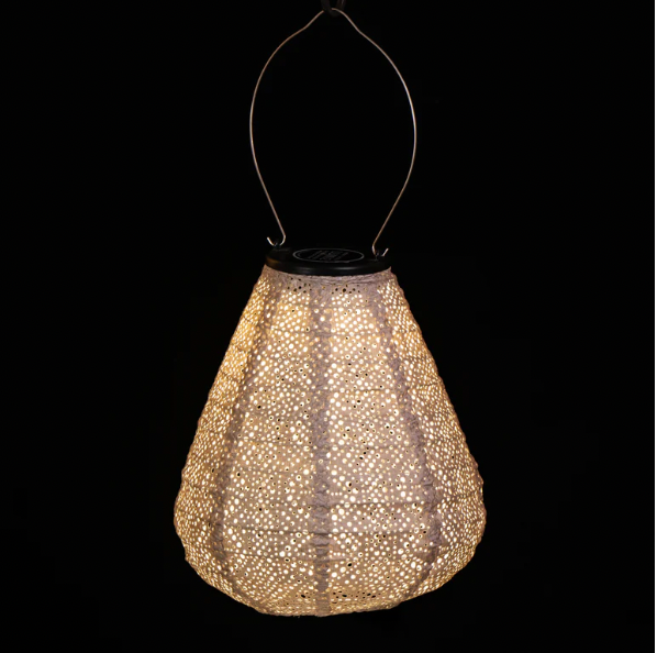Lantern Tulip 20cm Soft Blush Lace